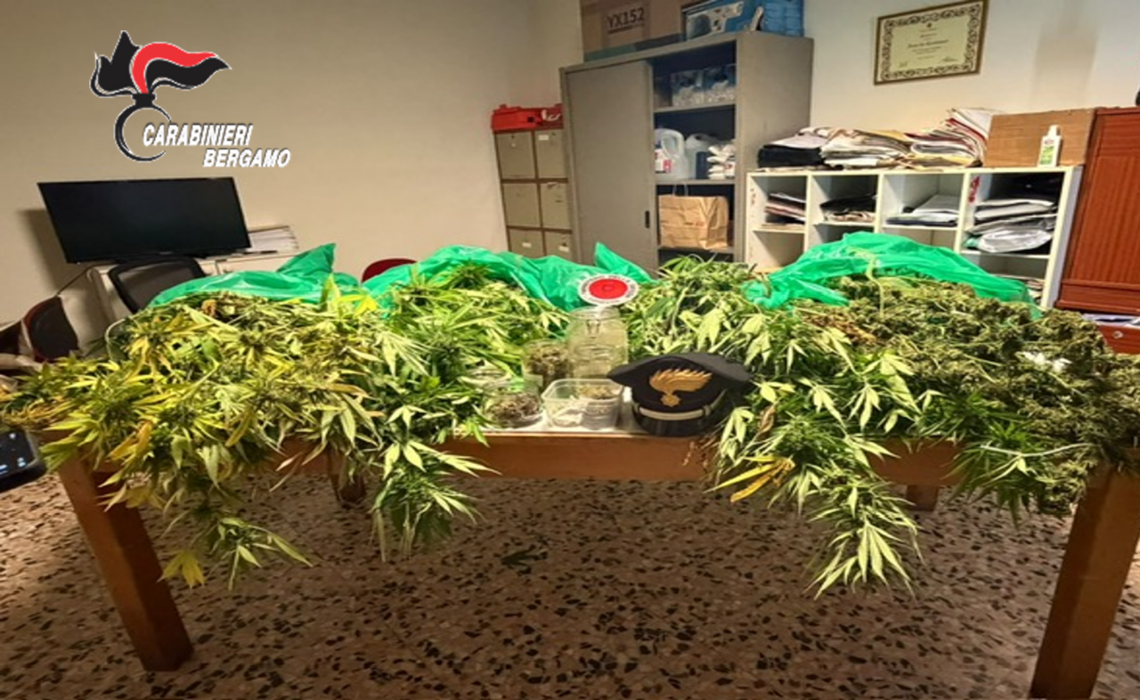 L’odore di marijuana in strada porta i carabinieri fino a una casa: sequestrati sei chili ad Albino