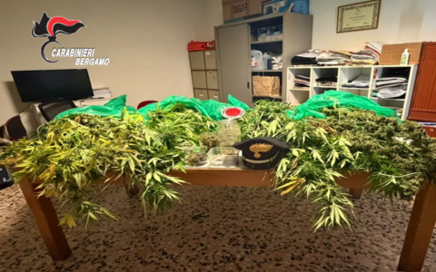 L’odore di marijuana in strada porta i carabinieri fino a una casa: sequestrati sei chili ad Albino