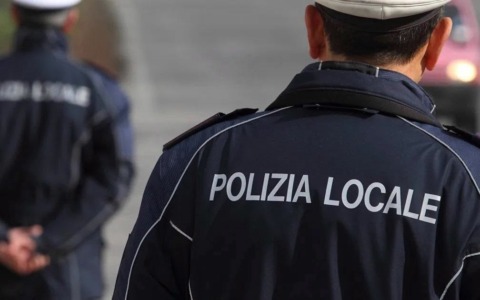 Investe un cane a Seriate e si allontana: individuato grazie alle telecamere di videosorveglianza