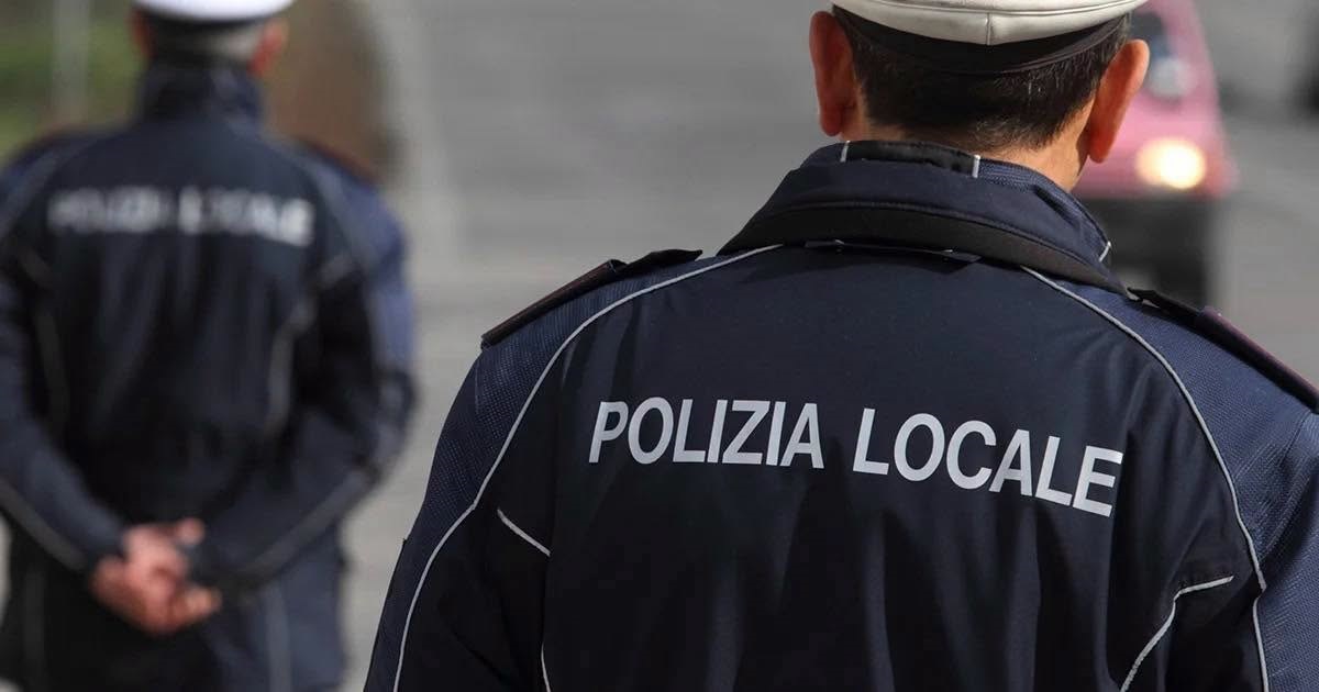 Investe un cane a Seriate e si allontana: individuato grazie alle telecamere di videosorveglianza
