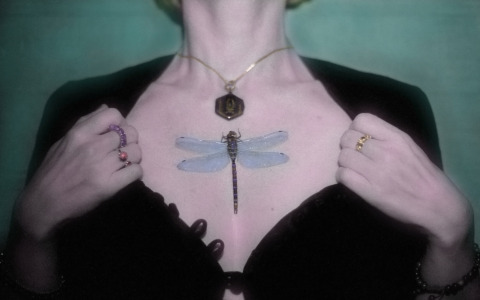 Scene surreali che sfidano l’AI: le fotografie di Rossana Battisti in mostra allo spazio Sanbe15/C