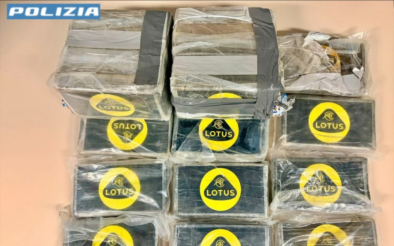 Venti chili di cocaina nascosti in un furgone a Torre Pallavicina, arrestato 39enne