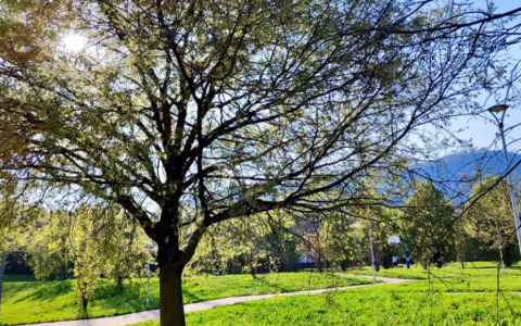La raccolta fondi del Comune per realizzare il parco accende la polemica a Torre Boldone