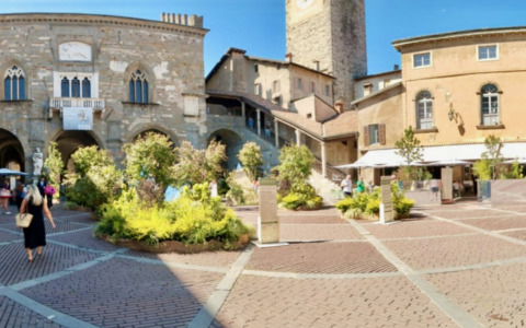 C’era una volta Piazza Vecchia verde, adesso invece al massimo è… verdina