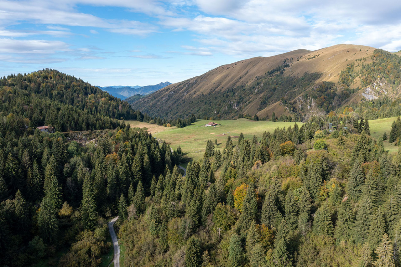 Settimana della Montagna: bosco protagonista in Val Gandino