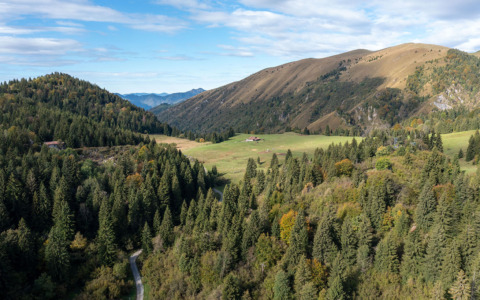 Settimana della Montagna: bosco protagonista in Val Gandino