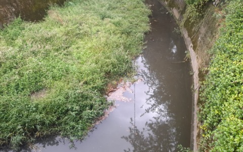 A due anni dall’alluvione, la Morla è di nuovo piena di rami e detriti: «Qualcuno deve intervenire»