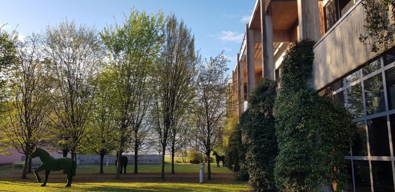 I libri diventano “Voci del cuore”: a Treviolo una serata tra cosplay, teatro e tradizione