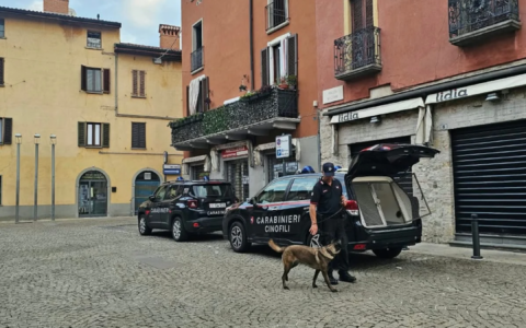 Aveva un chilo di droga in casa, tra hashish, cocaina e marijuana: arrestato 42enne di Seriate