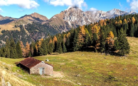 Un autunno tutto da vivere con il foliage in Alta Valle Brembana