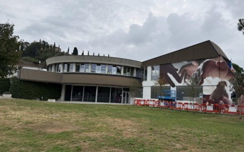 Quasi ottocentomila euro per una scuola al centro, il Piano per il diritto allo studio di Mozzo