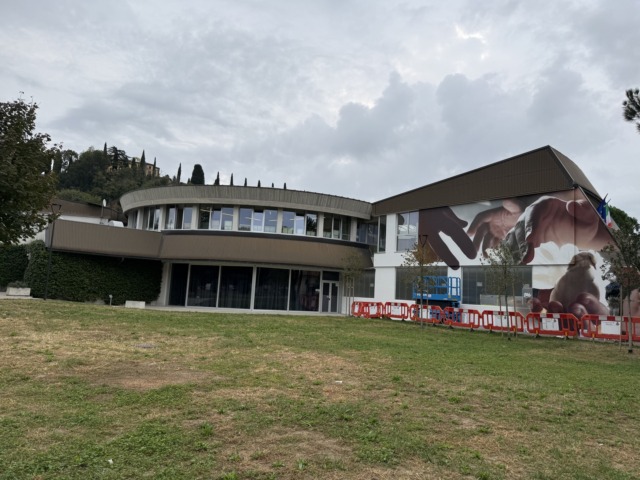Quasi ottocentomila euro per una scuola al centro, il Piano per il diritto allo studio di Mozzo
