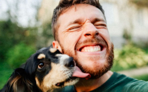 AlzaBau, la gara tra i migliori scatti dei cani davanti ai negozi di Alzano Lombardo