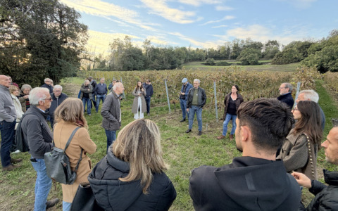 A Castel Presati si fa il vino che racconta il territorio di Mozzo e della nostra provincia