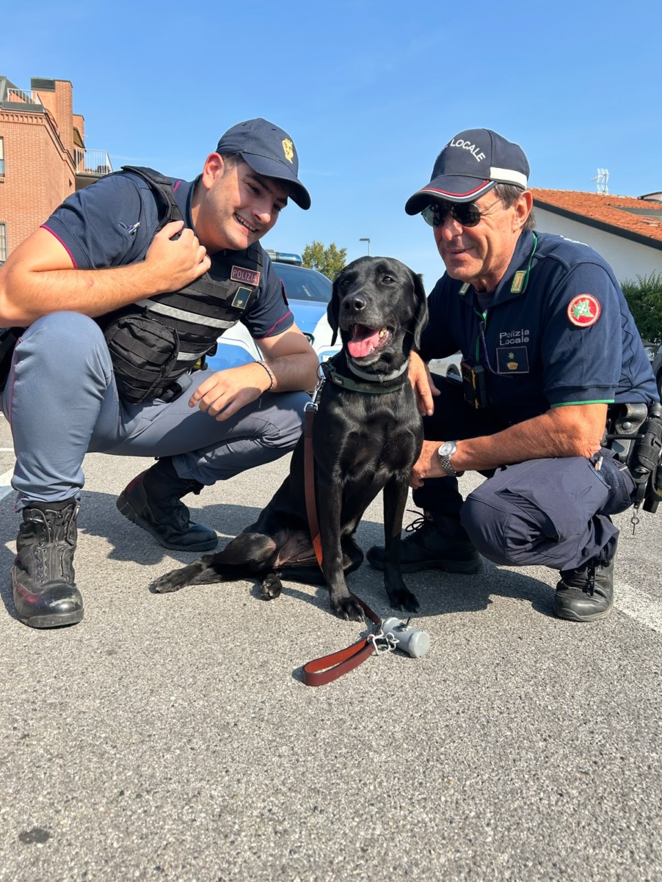 A Treviglio controlli nelle aree scolastiche: in campo anche il cane antidroga Athena
